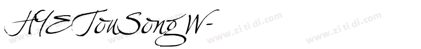 HYETouSong W字体转换